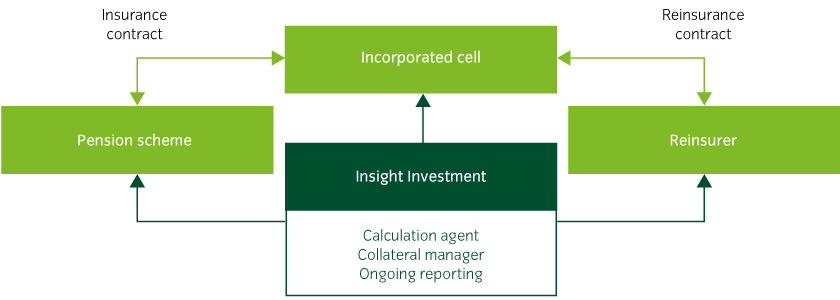 Insight’s longevity platform works